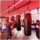 올스타 복싱클럽 이미지