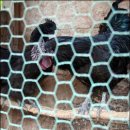 다락방민박 이미지