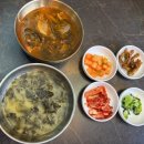 오투사우나 | 오투리조트CC 1박2일 골프라운딩 후기 강원도 태백 봄골프