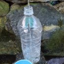 약진로변 이미지