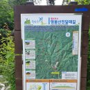 원주굽이길 원10코스 바람머리산길 | 원주굽이길 원10코스 바람머리산길/ 원4코스 명봉산진달래길/2-1코스 천마산길(2020.06.18)