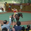 마상공연장 이미지