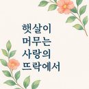 햇살이 머무는 뜨락 이미지