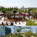 국제문화교류관 야외정원 이미지