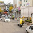 길파로 이미지