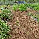 백헌농장 이미지