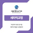 서울더원플러스치과의원 네이버블로그