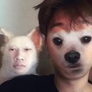 허다하다 이미지
