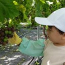 둔덕농협한우관 이미지