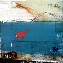 못(MOT)