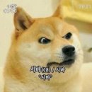 자동차 잘아는 남자 이미지