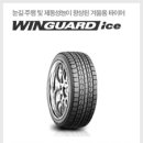 애니카랜드 희망점 이미지