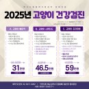 조이동물병원 제니스점 | 서울 동물병원 추천 루시드동물메디컬센터 동대문점 고양이 건강검진 솔직 후기