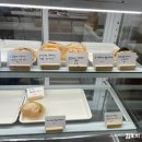 로베디(Robedi)