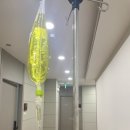 현대중앙의원 | 제왕절개 4일차 후기 ｜ 당진 미즈맘 산부인과 ｜태아보험추가납입,환급