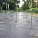 수원-1791 이미지