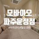 218-운정3-218 | 파주운정 두피·탈모관리 제대로 받아본 날｜모바이오 파주운정점 솔직 후기