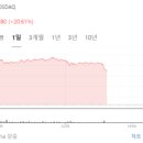 대성소프트 이미지