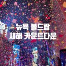 45번가 - 논산시 중앙로260번길 4 | 🇺🇸뉴욕 신혼여행 8일차-2026 뉴욕 볼드랍 새해 카운트다운 준비물 및 대성공 후기