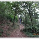 무안스포츠파크 이미지