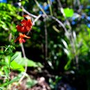 오소리약수터 이미지