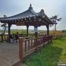 모슬포고등어 이미지