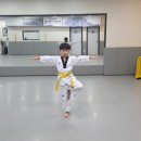 누리태권도장 이미지