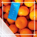 멍박스 | 겨울 입맛 깨우는 꿀맛 선택! 낭트멍 타이벡감귤 솔직 후기