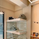 제주 이쁘냥 고양이미용실 이미지