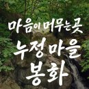 정자문화 이미지