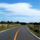목포자동차종합병원 | 제주도 - 제주도렌트카 제주도패키지