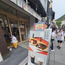 다카마쓰 교외여행지 고토히라 지역설명과 후기 (야돈파크)