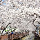 진해통상 이미지