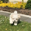 백수농원 이미지