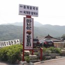 마니산도토리 이미지