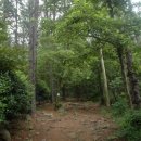 일출상사 이미지