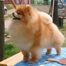 헬리우스 이미지