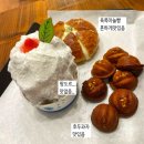 화순 빵쇼핑 [빵을 쇼핑하다] 화순 베이커리 카페 후기
