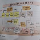 영웅수산