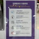 다나안마원 | 대전 당일치기 2탄] 퍼퓸플레이, 망고타이(비추), 단골되고픈 쯔보미식당