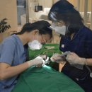 수미치과의원 이미지