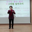 노금오 Daum카페