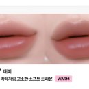 소프트 센즈 네이버블로그