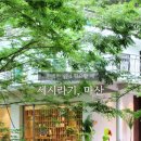 365북카페 이미지