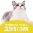 미사튼튼병원 이미지