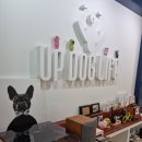 업 독 라이프 이미지