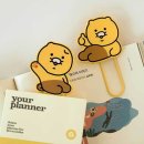 (주)아이콘스 이미지