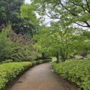 진천읍 보련마을~보탑사주차장 | [진천 만뢰산 등산 #갈미봉 #보탑사 #통일대탑] 만뢰산자연생태공원에서 만뢰산에 오르다