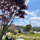 카페해오름 이미지