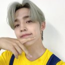 쿱스 티스토리